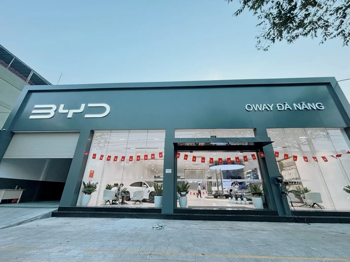 vinhxd comoway danang BYD