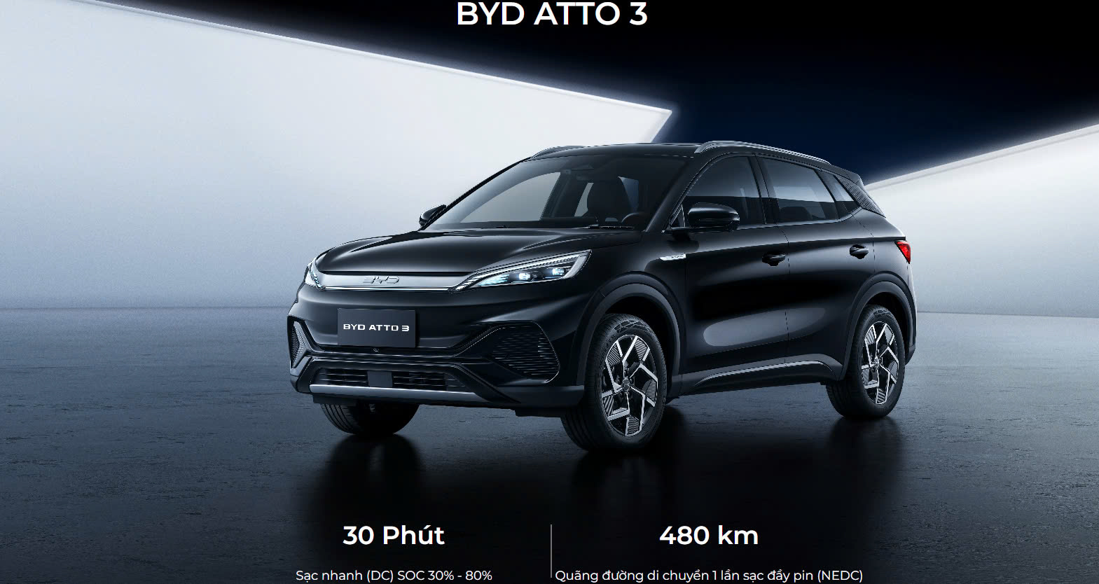BYD 23 BYD z6437306093894_dbfa249c0ddbb17e11a446d9ae8c1fe7