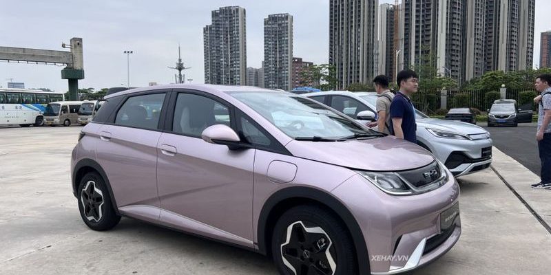 xehay-byd-310524 (3)